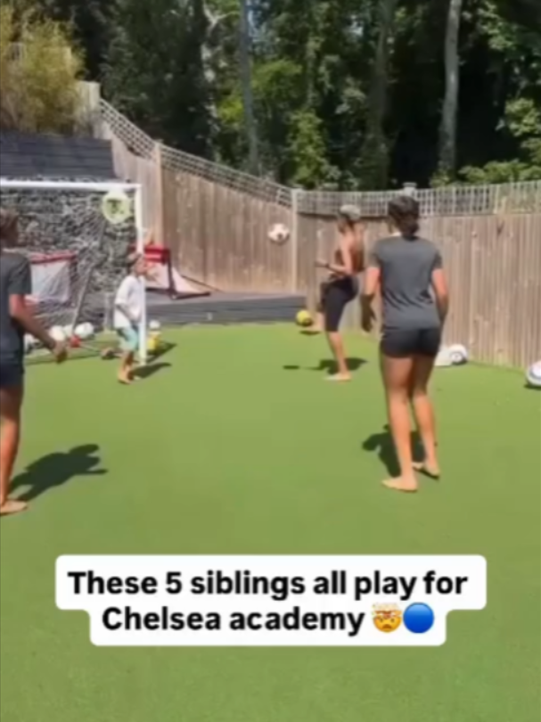@Project Footballer