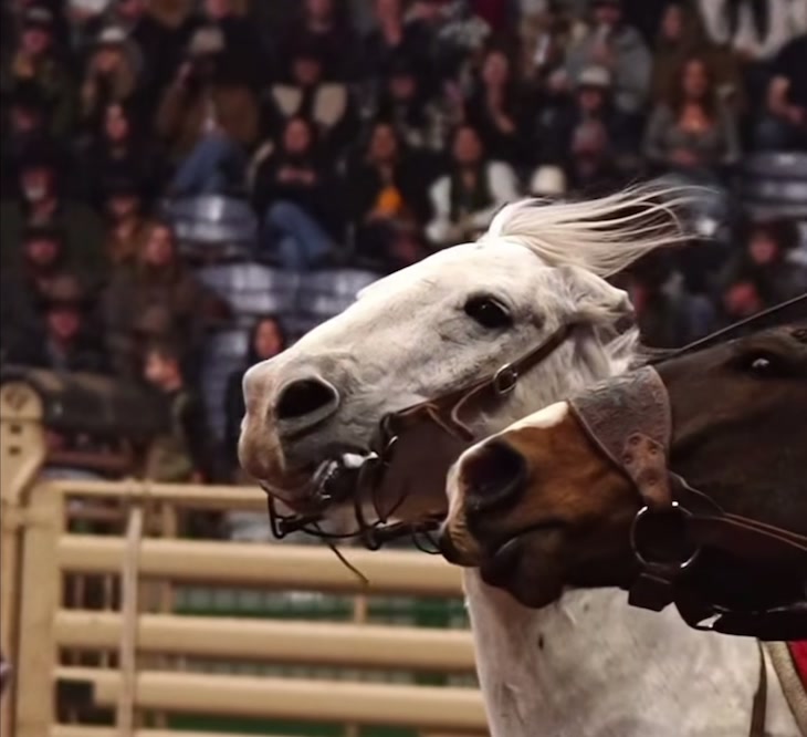 @Bronc Riding Nation