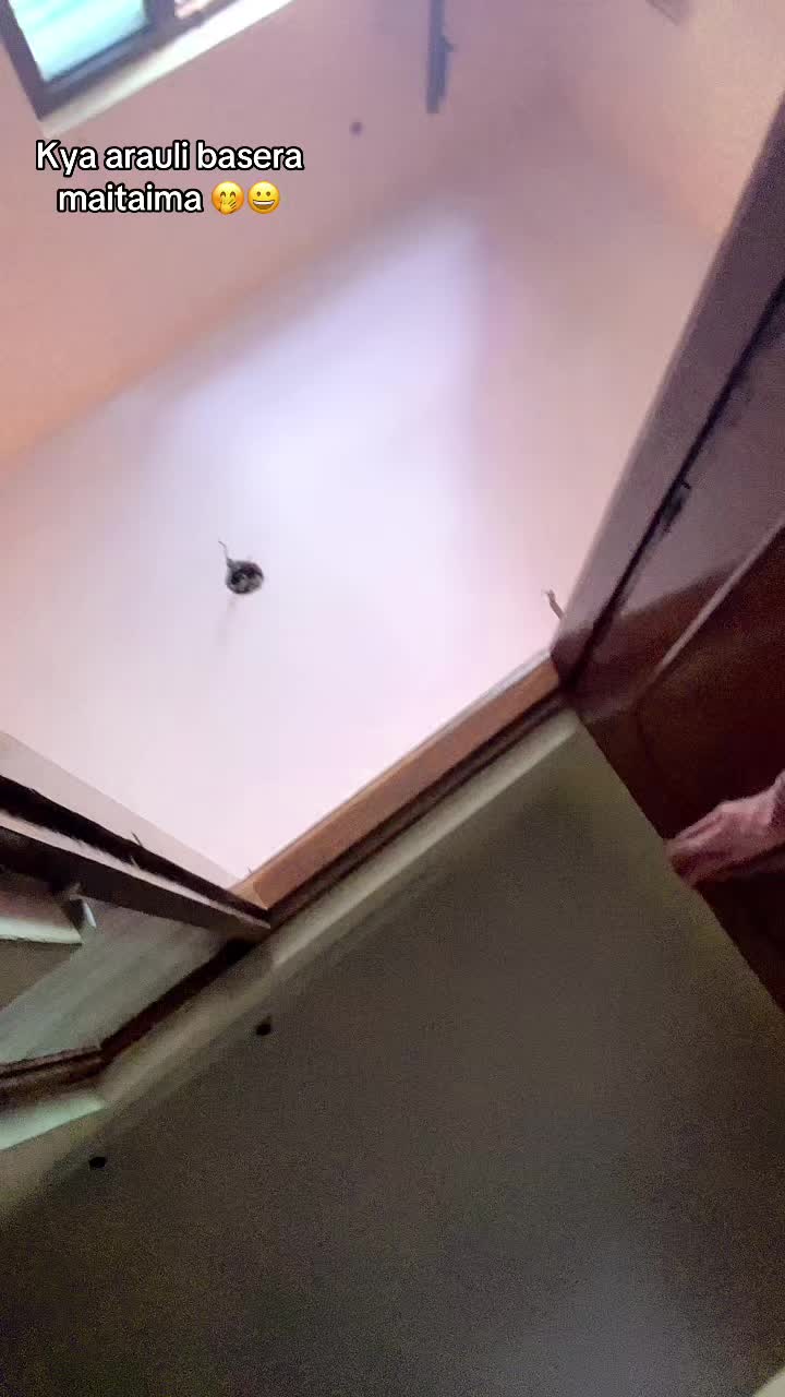 @Your:b&agrave;bũ🫣🤭