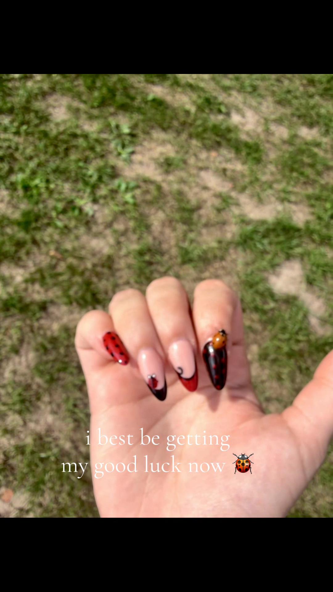 @vick 🐞🕸️
