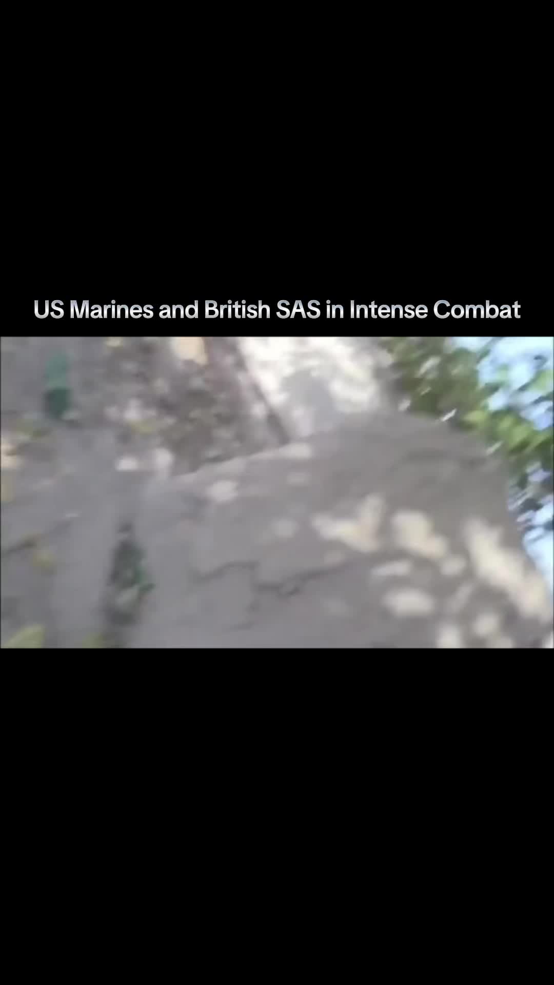@Tactical Archives