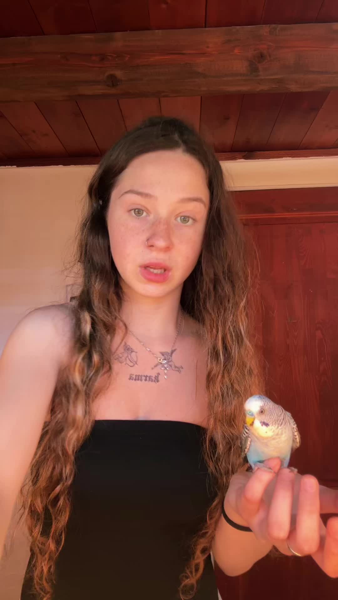 @Irena steigerov&aacute;
