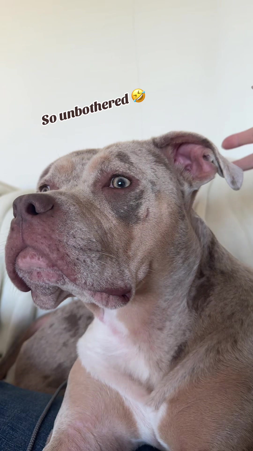 @Rue the Rescue