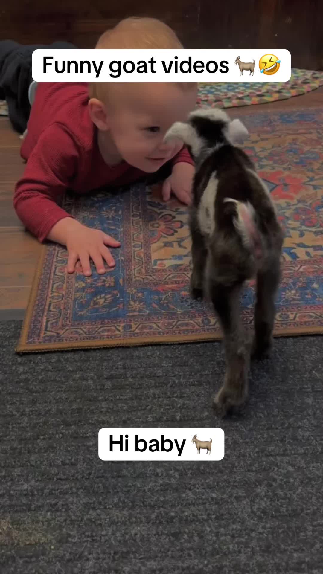@ScareprankUK101