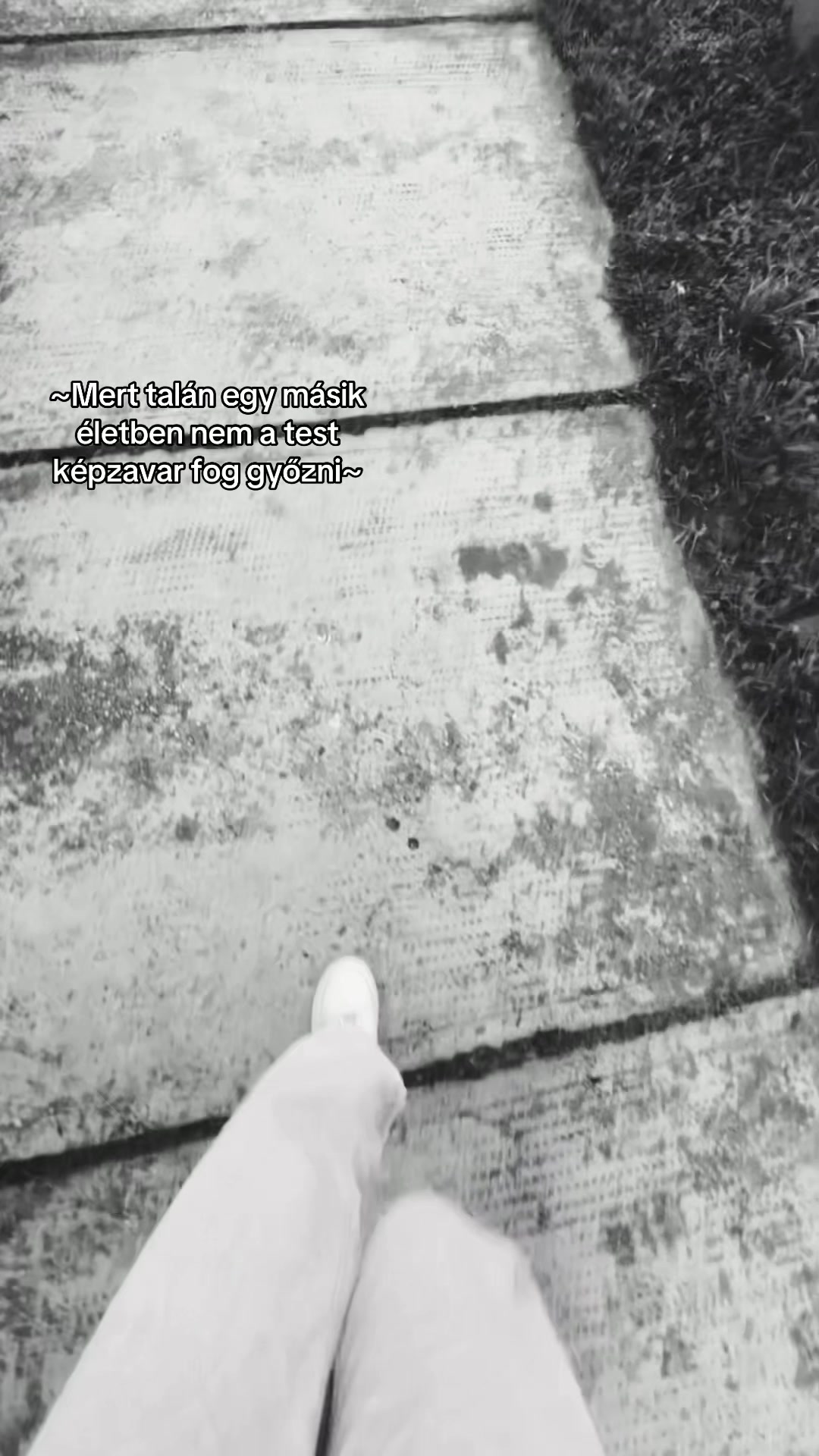 @🦦