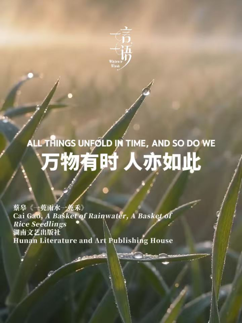 @hunantimes