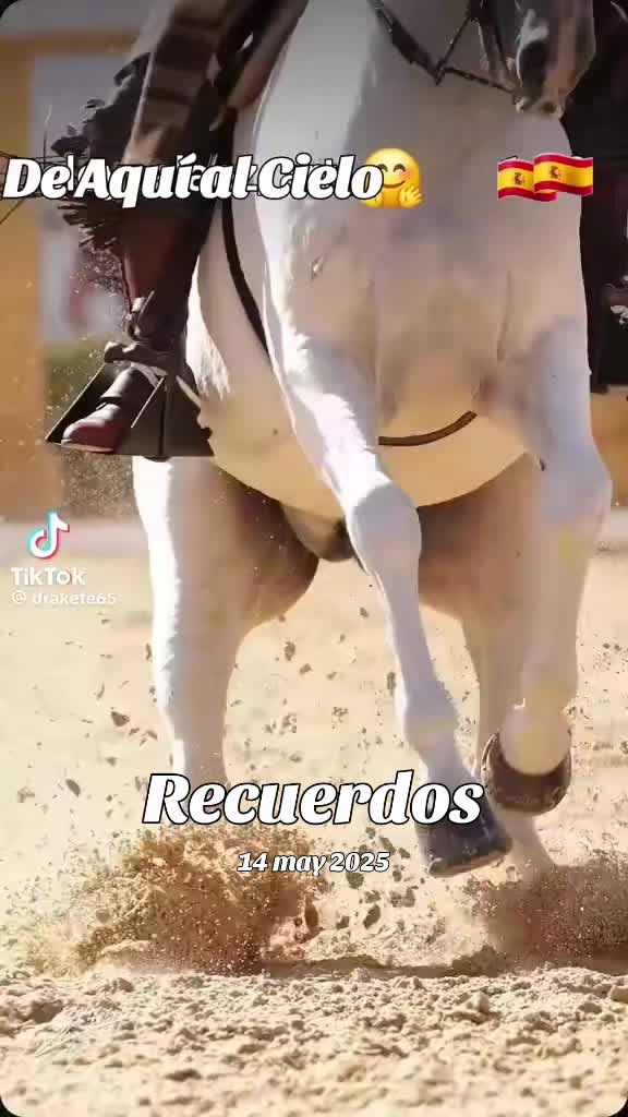 @Aila