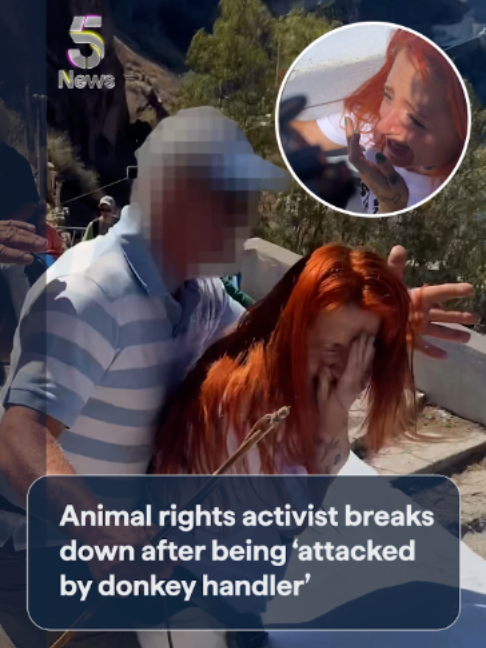 @Channel 5 News