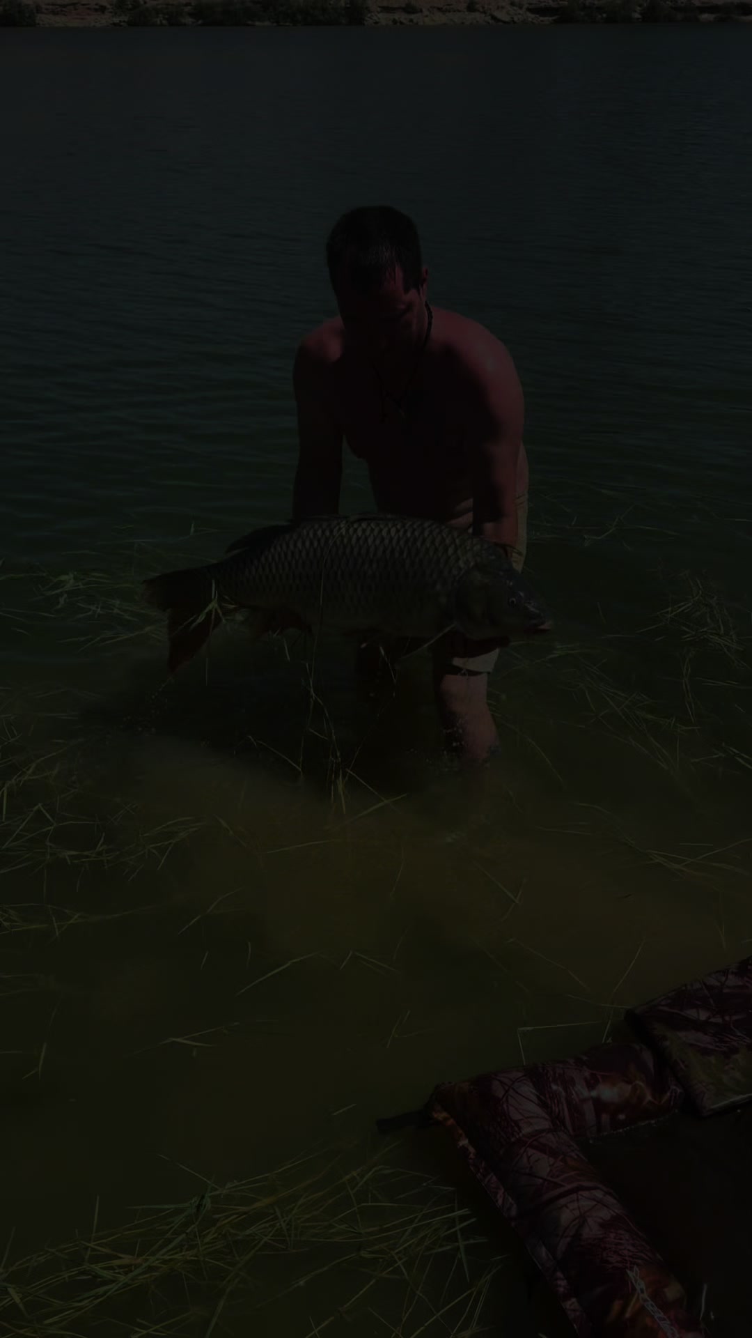 @Royal carp 🐟🐟🤩💪