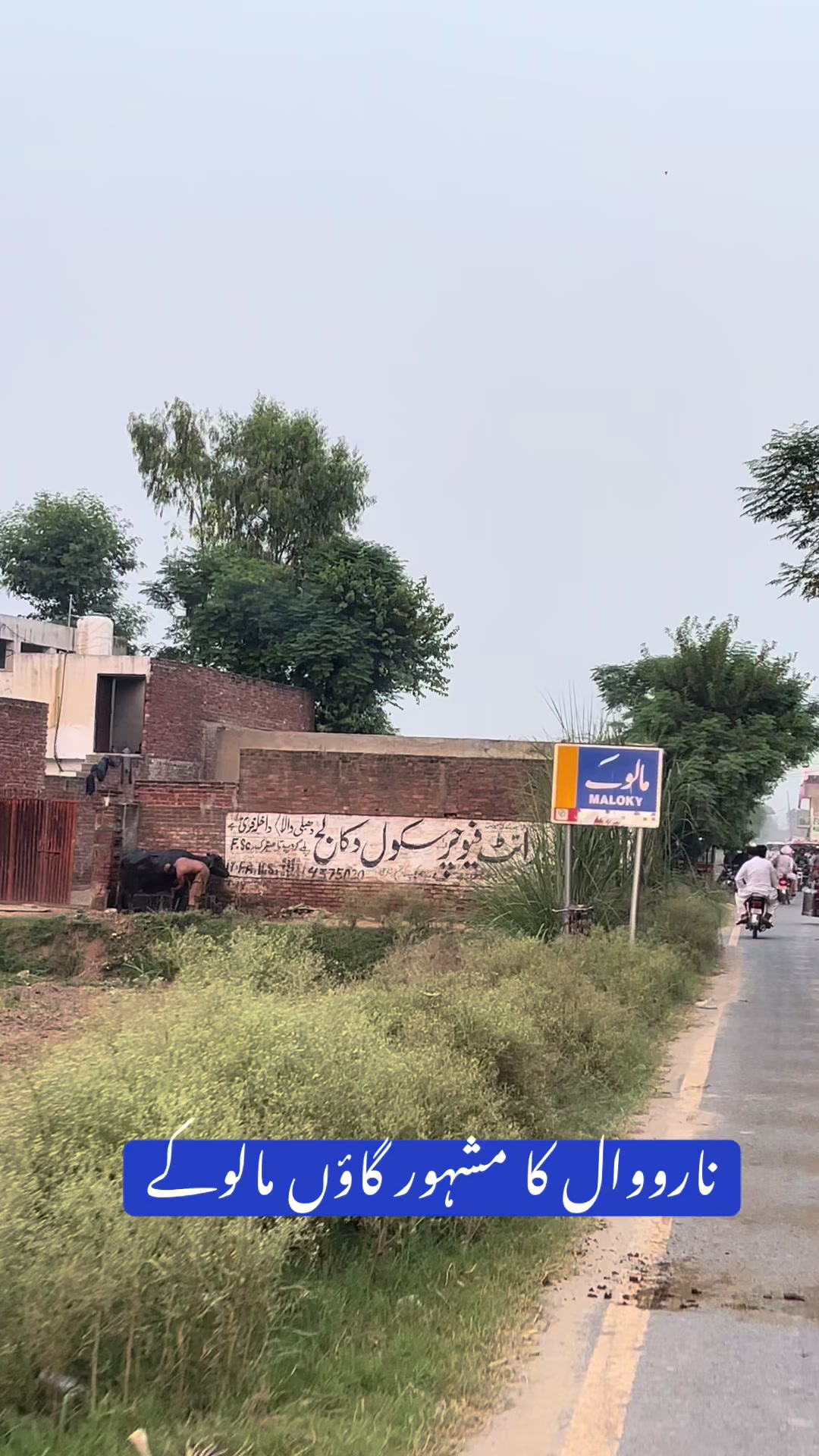 @Rehab Fatima 🇵🇰