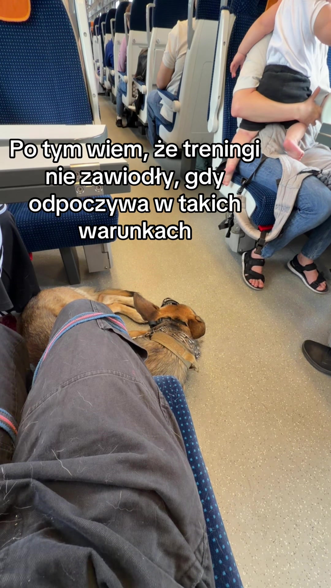 @loleksmolek