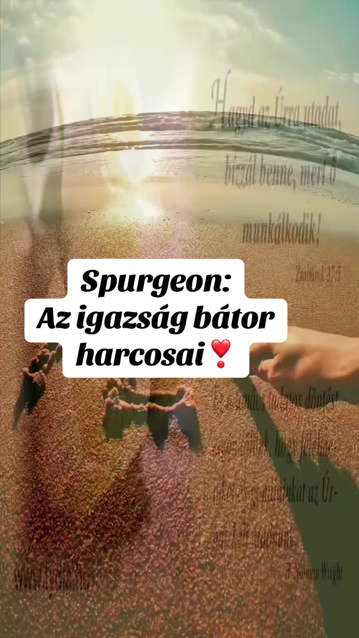 @Mónika Erős