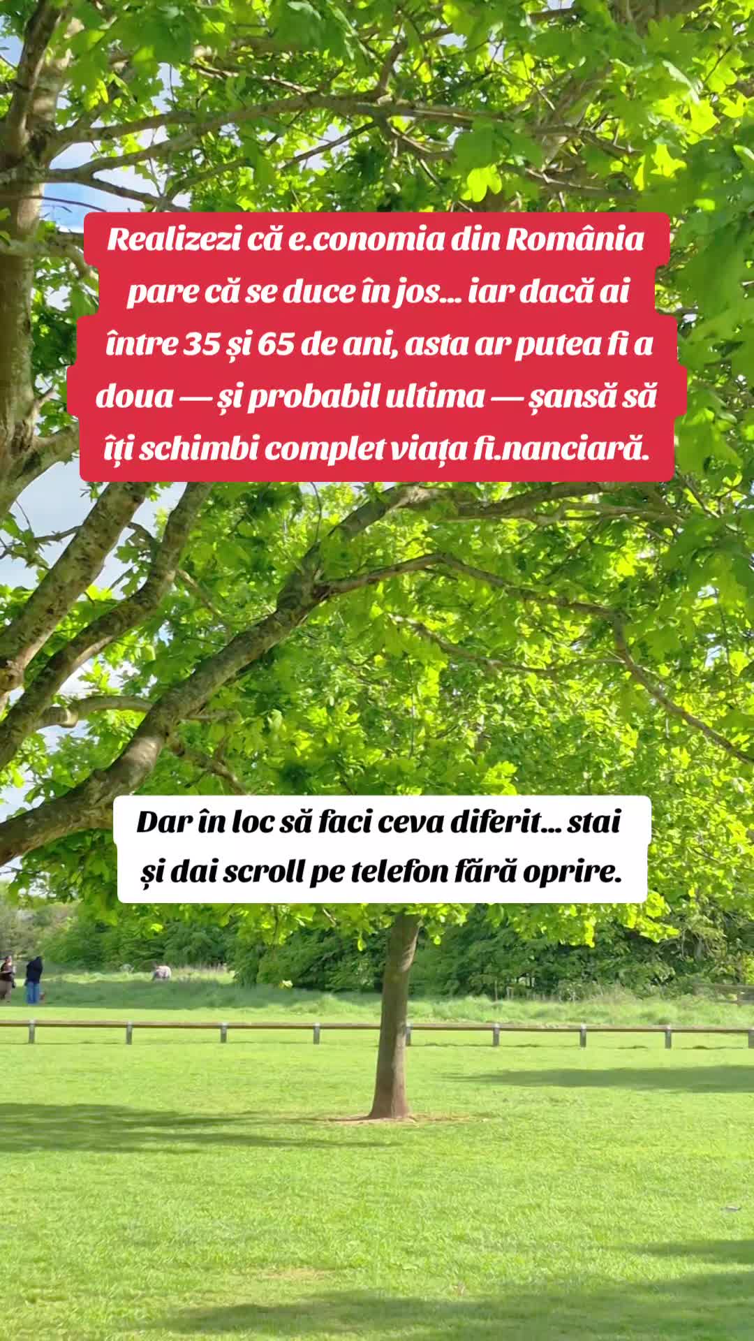 @St&euml;ll@