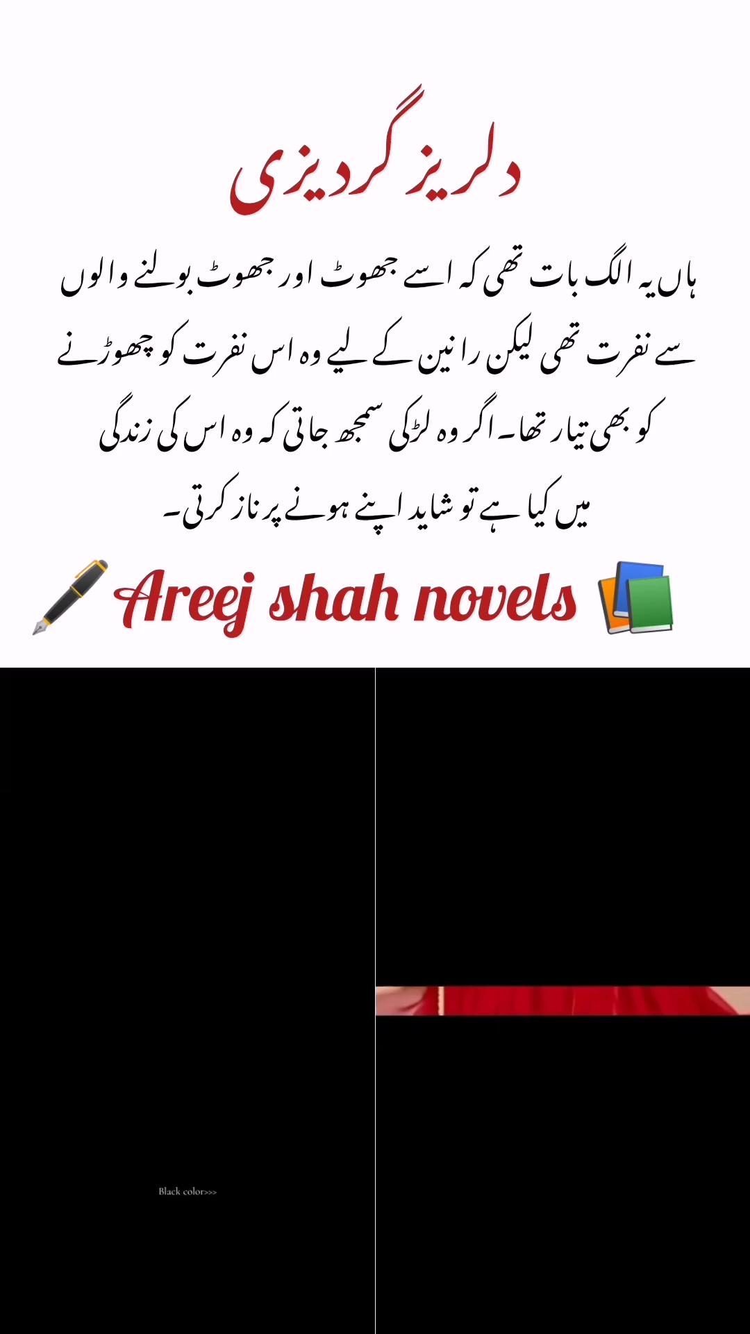 @Areej Shah Novels