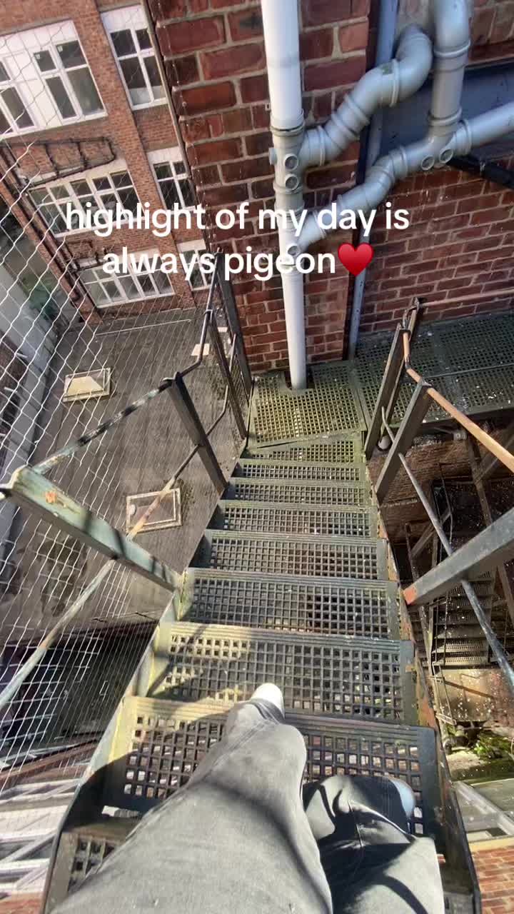 @heidi