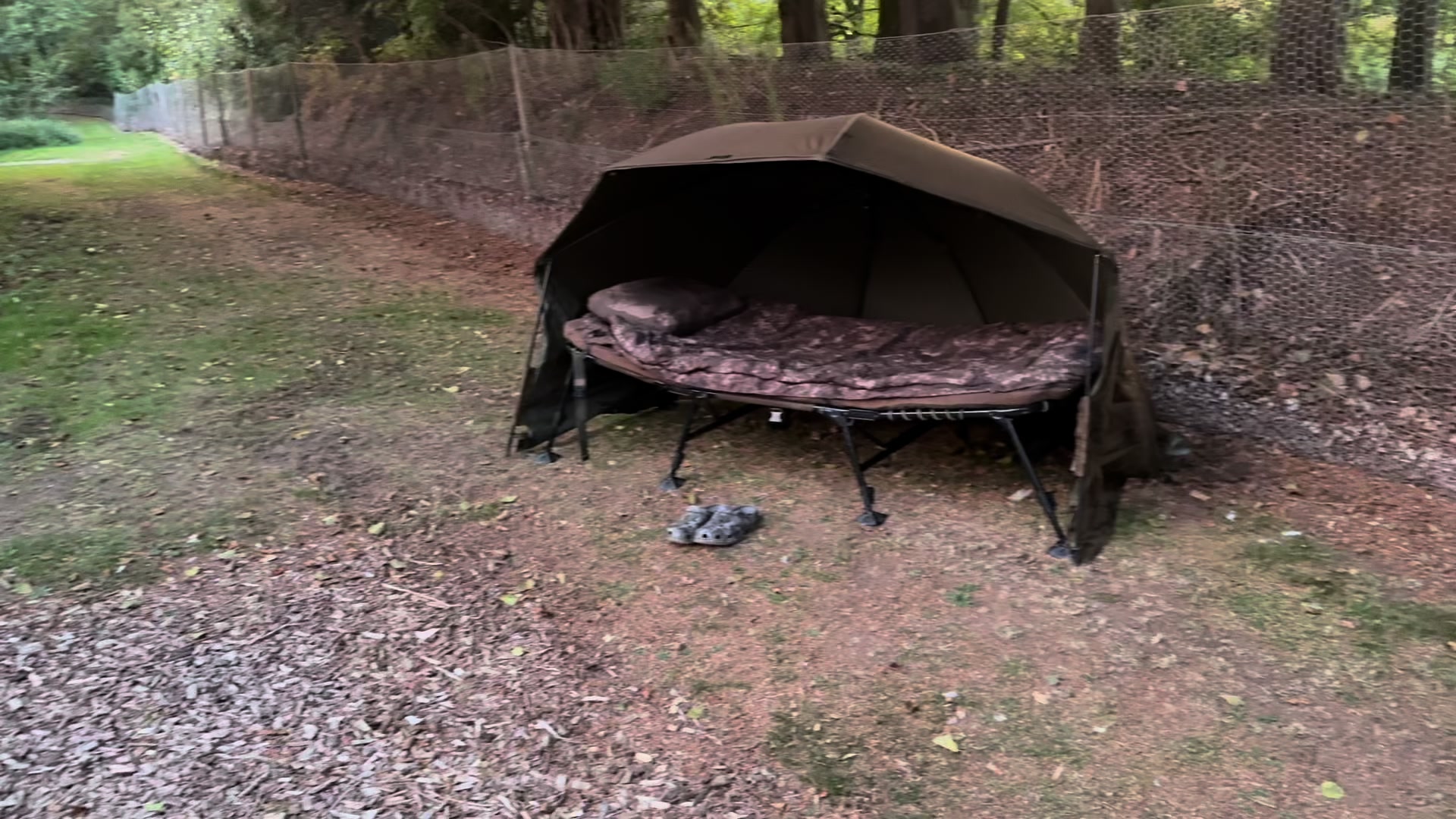 @Carp Norfolk HQ