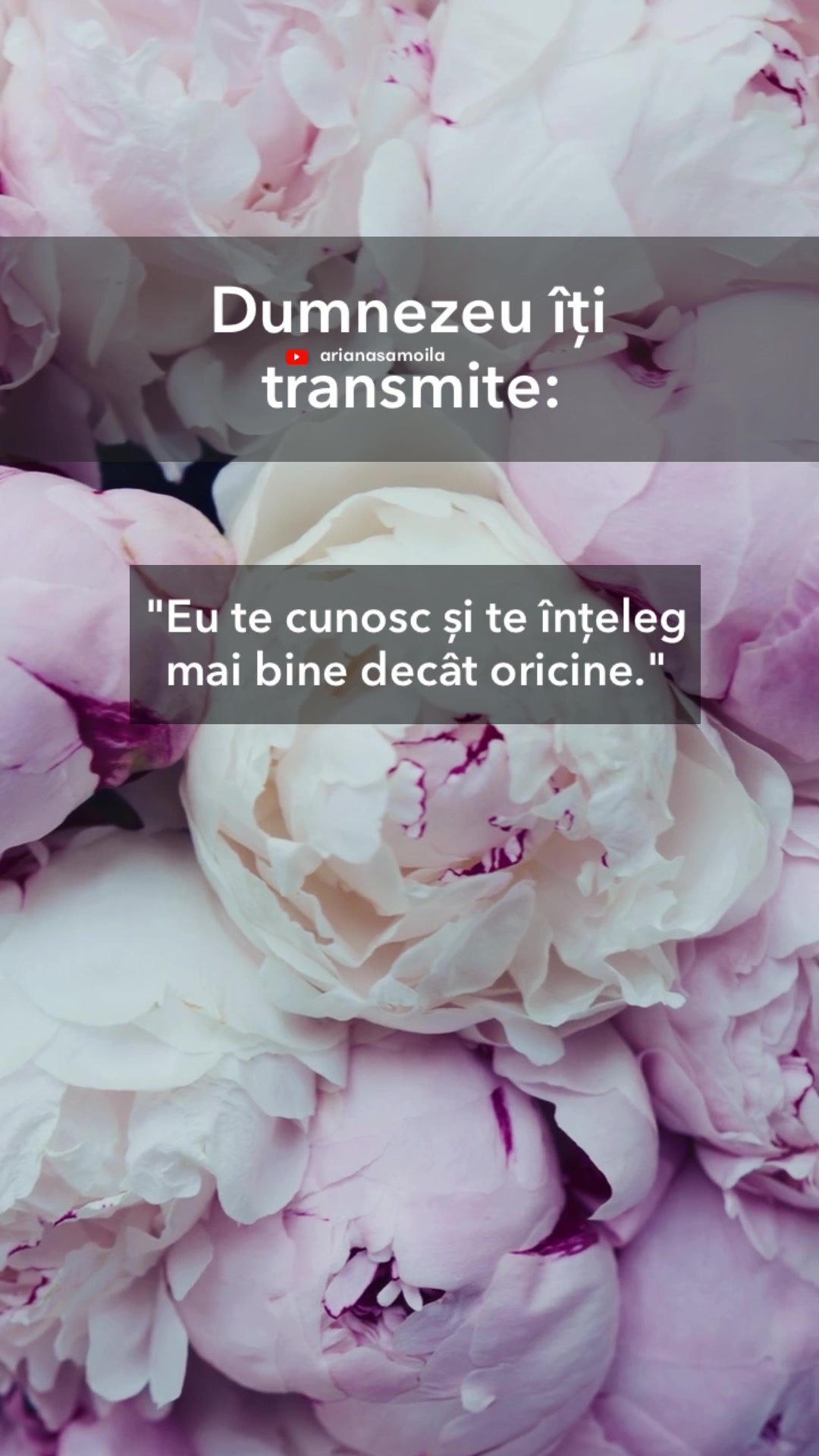 @Ariana Samoilă