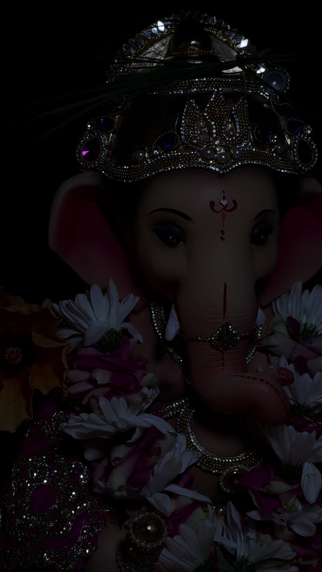 @Shree Ganesh Yuva Mandal