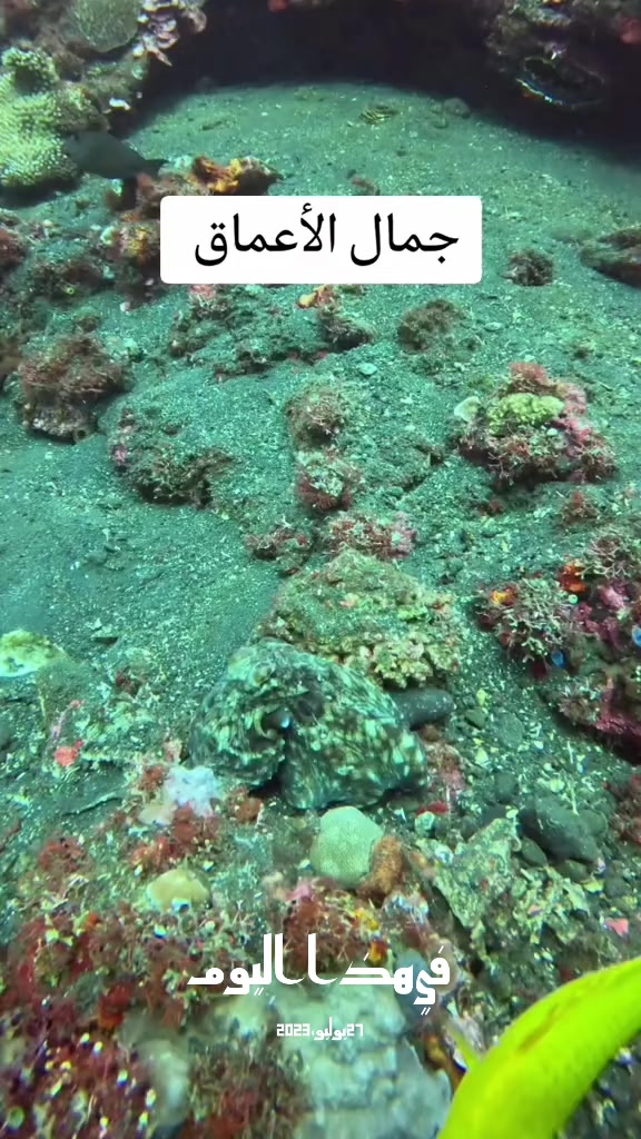 @عن كثب