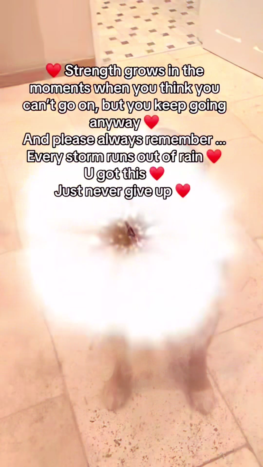 @Happy buddy