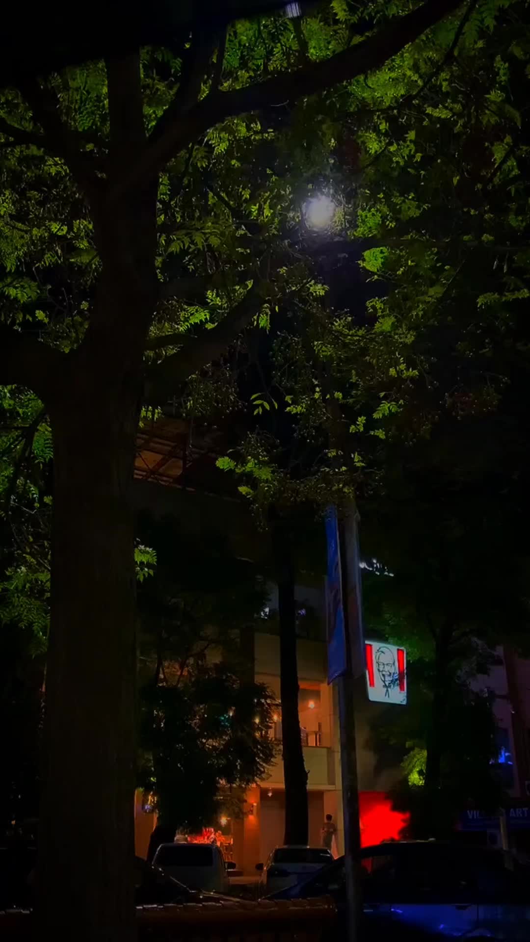 @❤️🩹𝐀𝐫𝐛𝐚𝐳_𝐀𝐰𝐚𝐧❤️🩹
