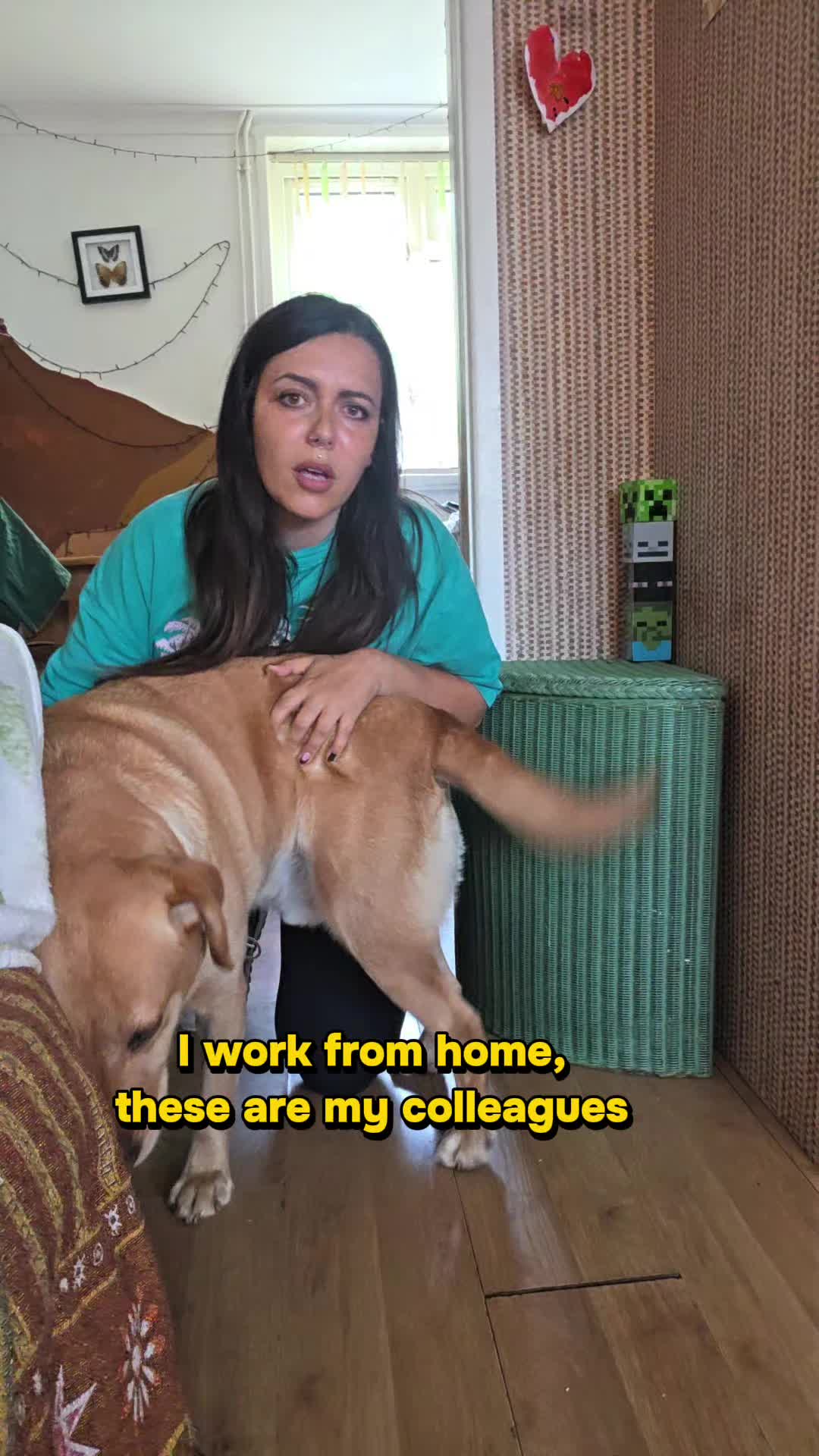 @Katie Tradie