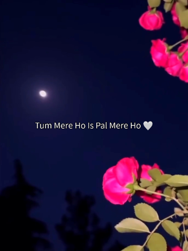 @𝗦𝗼𝘂𝗹𝗳𝘂𝗹 𝗖𝗹𝗶𝗽𝘀 🌙