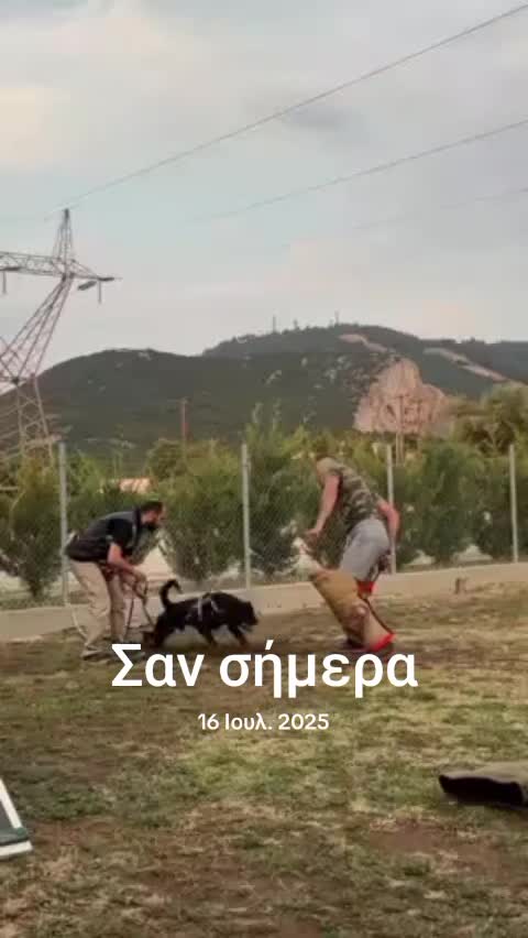 @Tasos Krikelis