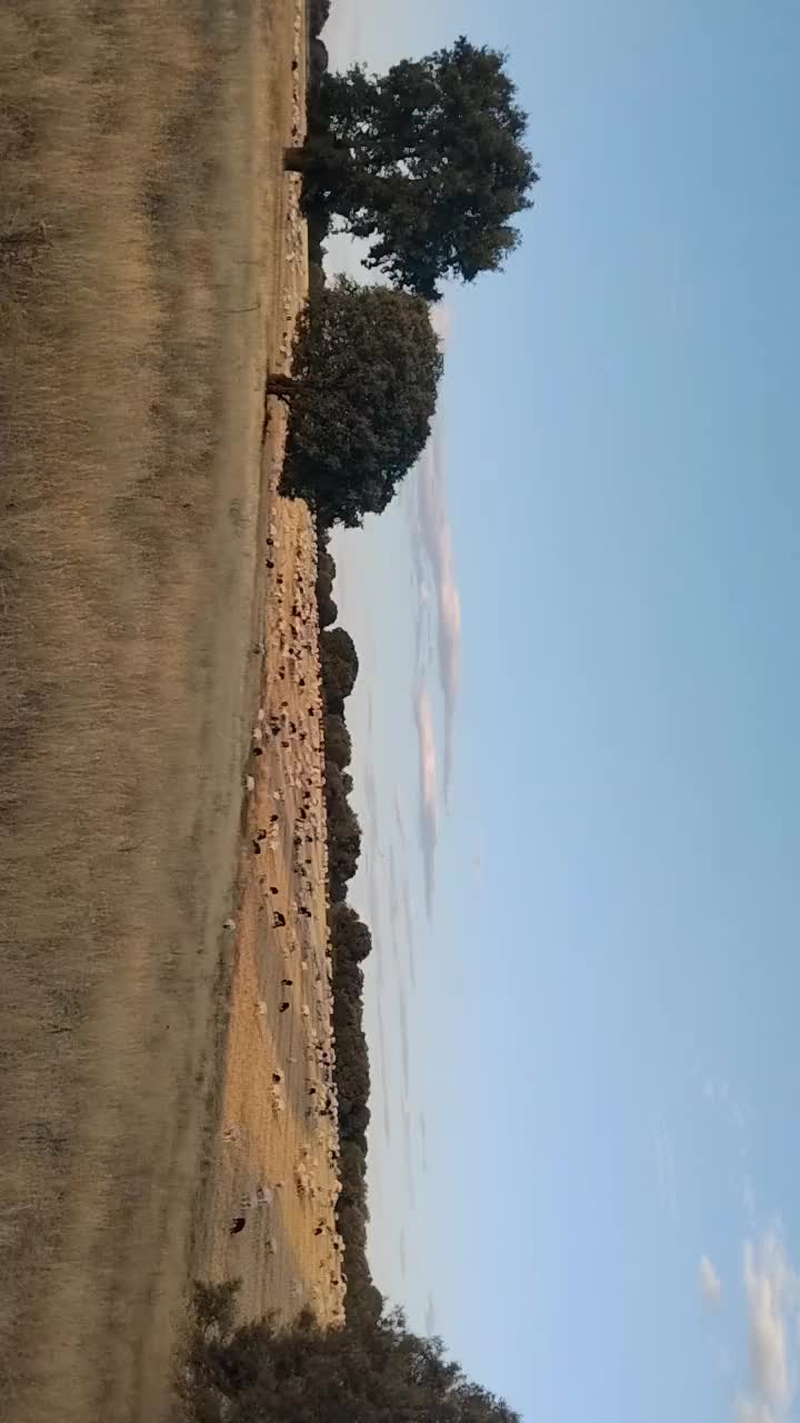 @Iv&aacute;n.