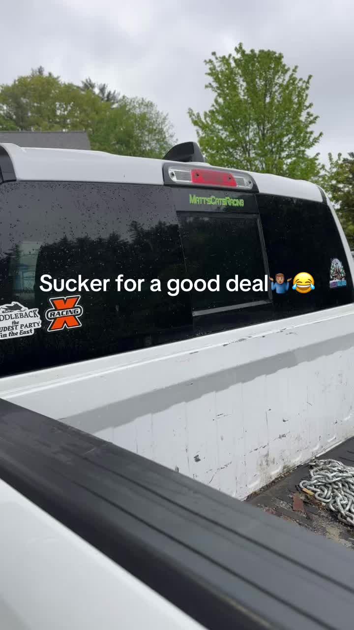 @Arcticcatmatt