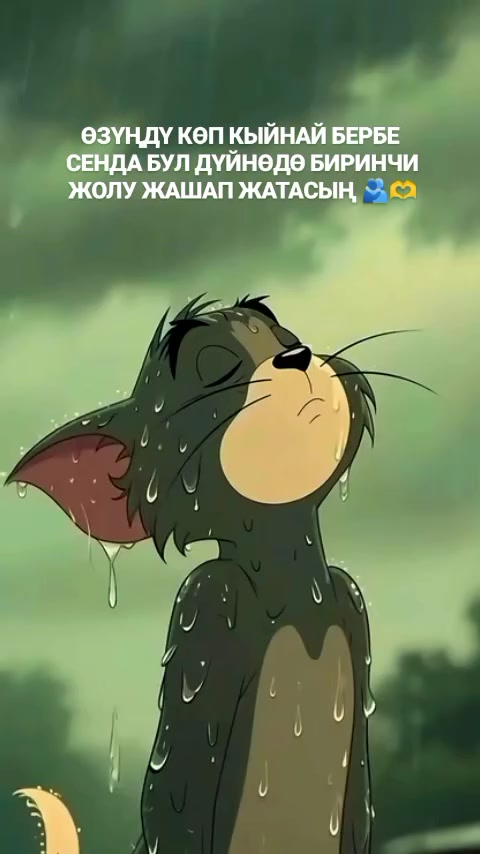 @tatysh