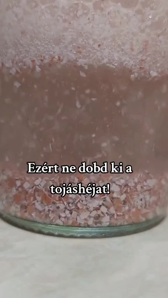 @Daisy Bukovicsné Bék