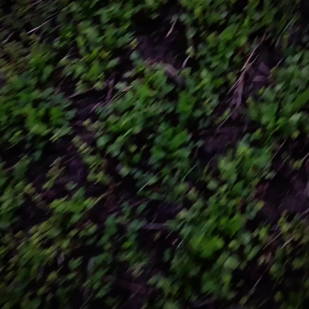 @𝐉𝐀𝐘