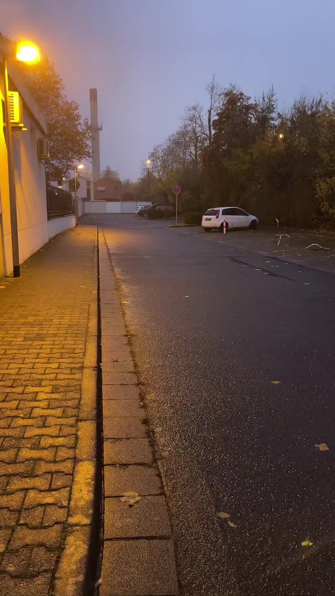 @𝘼𝙡𝙮𝙖