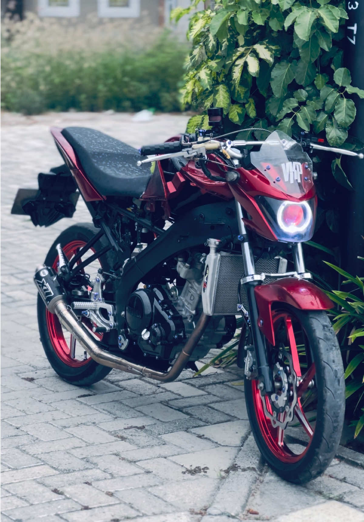 @𝐚𝐥𝐩𝐢𝐧 𝐬a𝐤𝐢𝐭𝐤𝐚𝐤𝐢