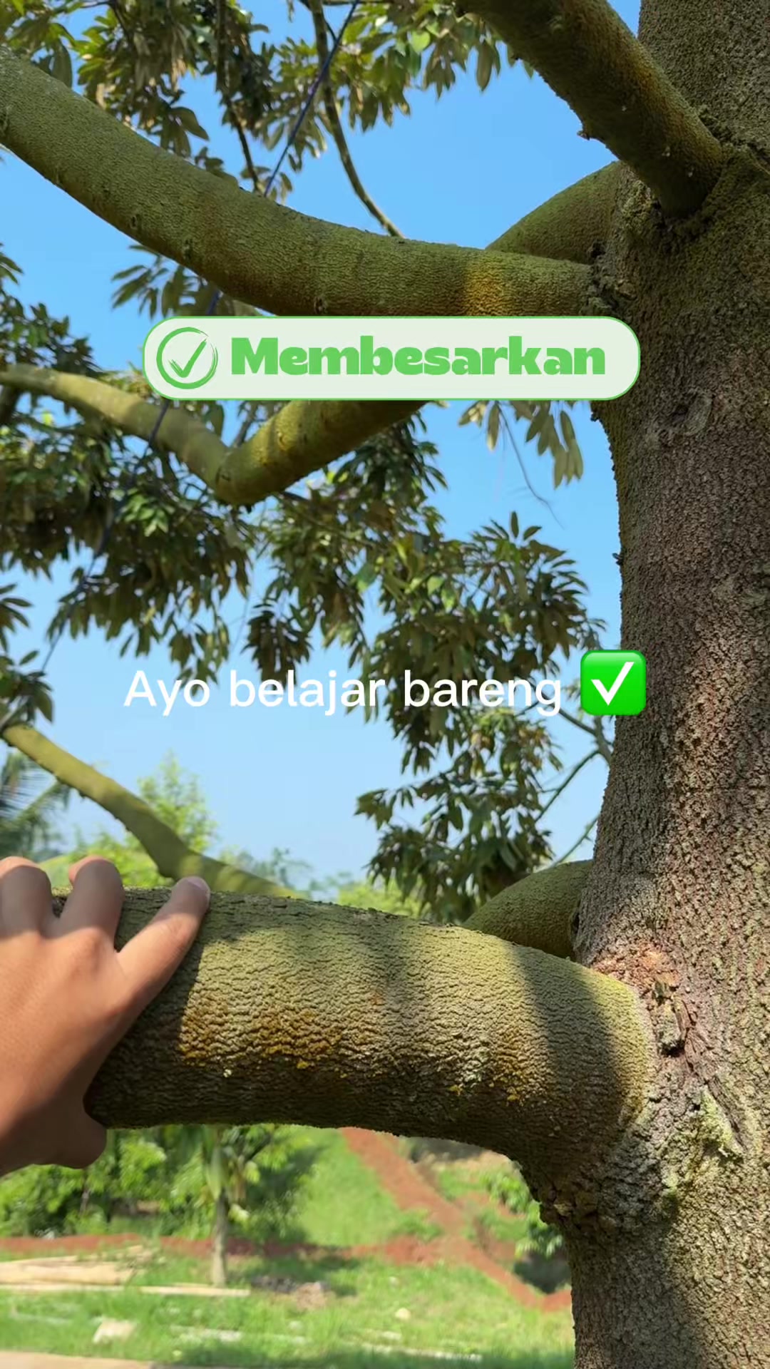 @AA KADU