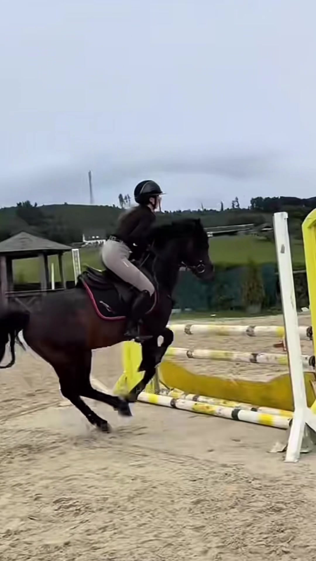 @horse_edits