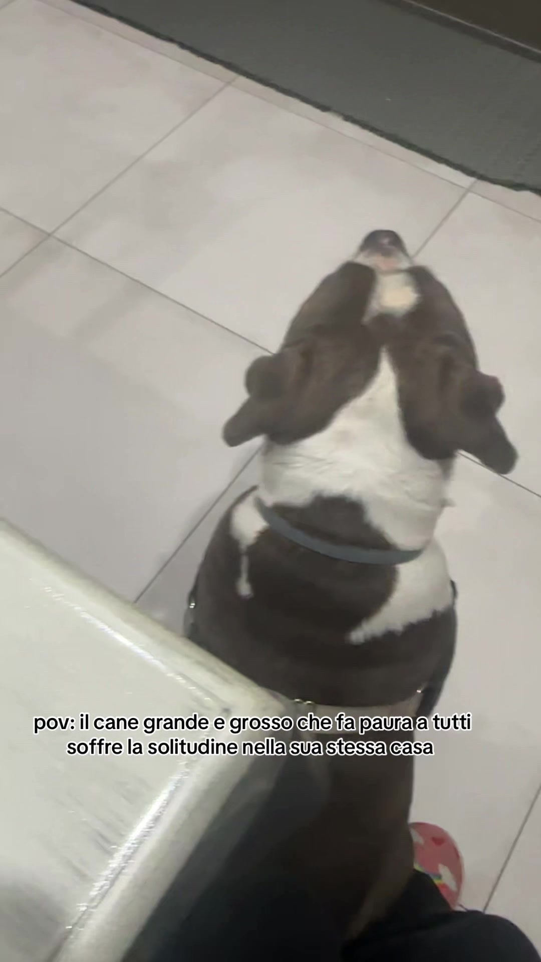@RebbyChris+Romeo