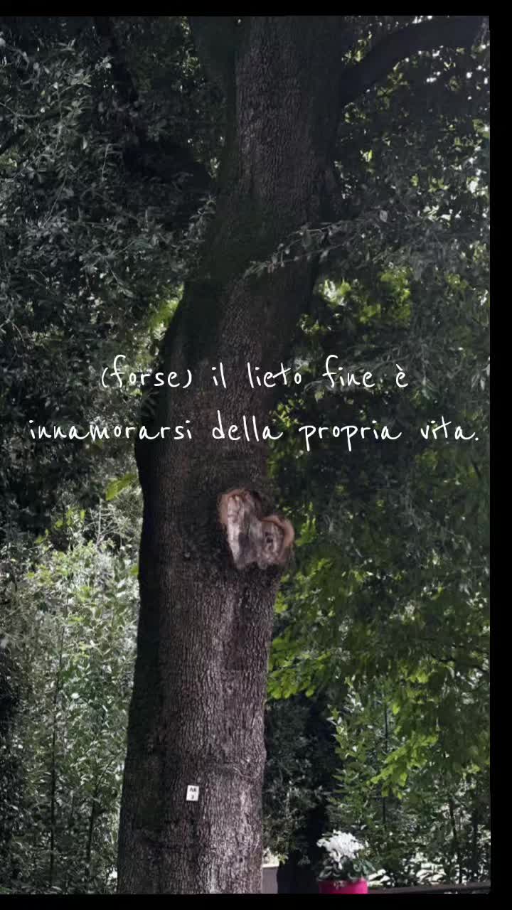 @Serena Papa