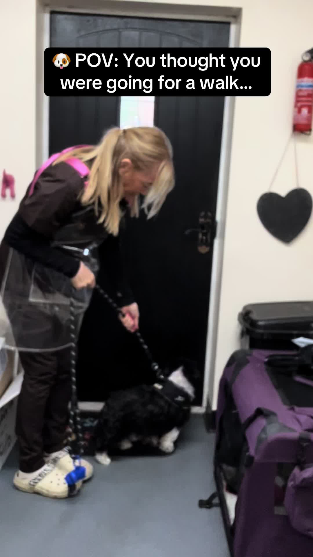@Poochiepoosdoggrooming