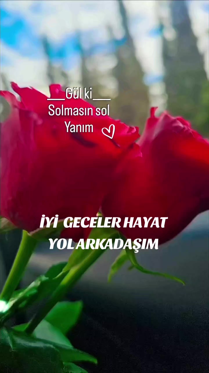 @Hasan Yılmaz