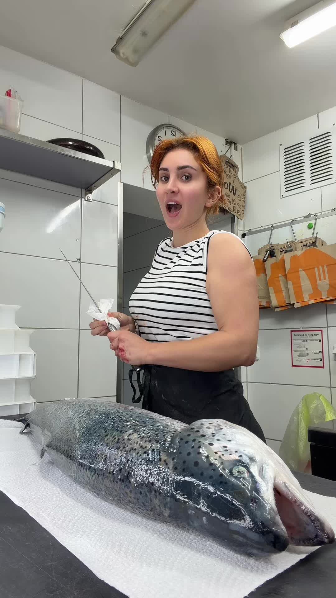 @mikasahanma