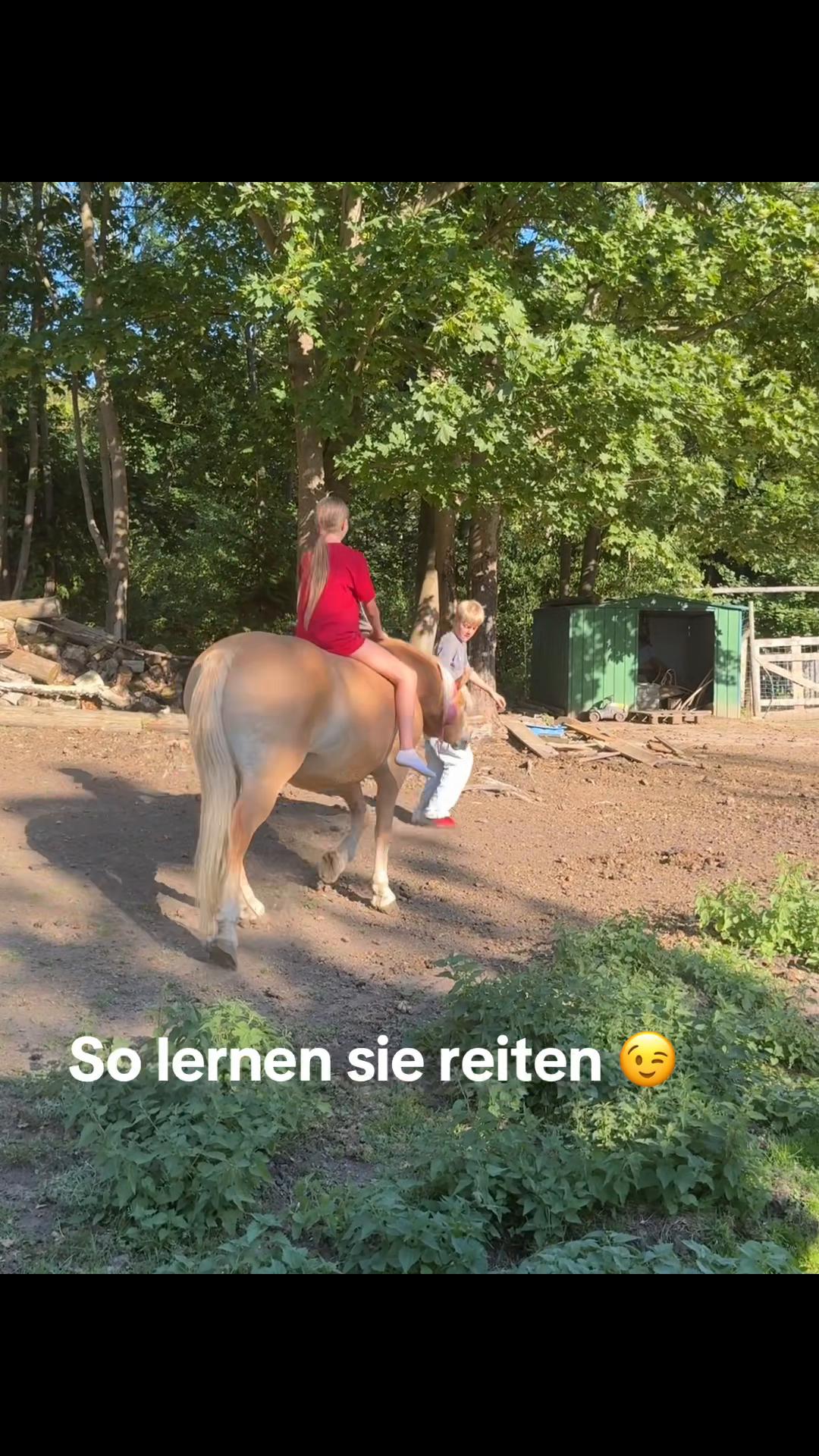@HafiHorse2