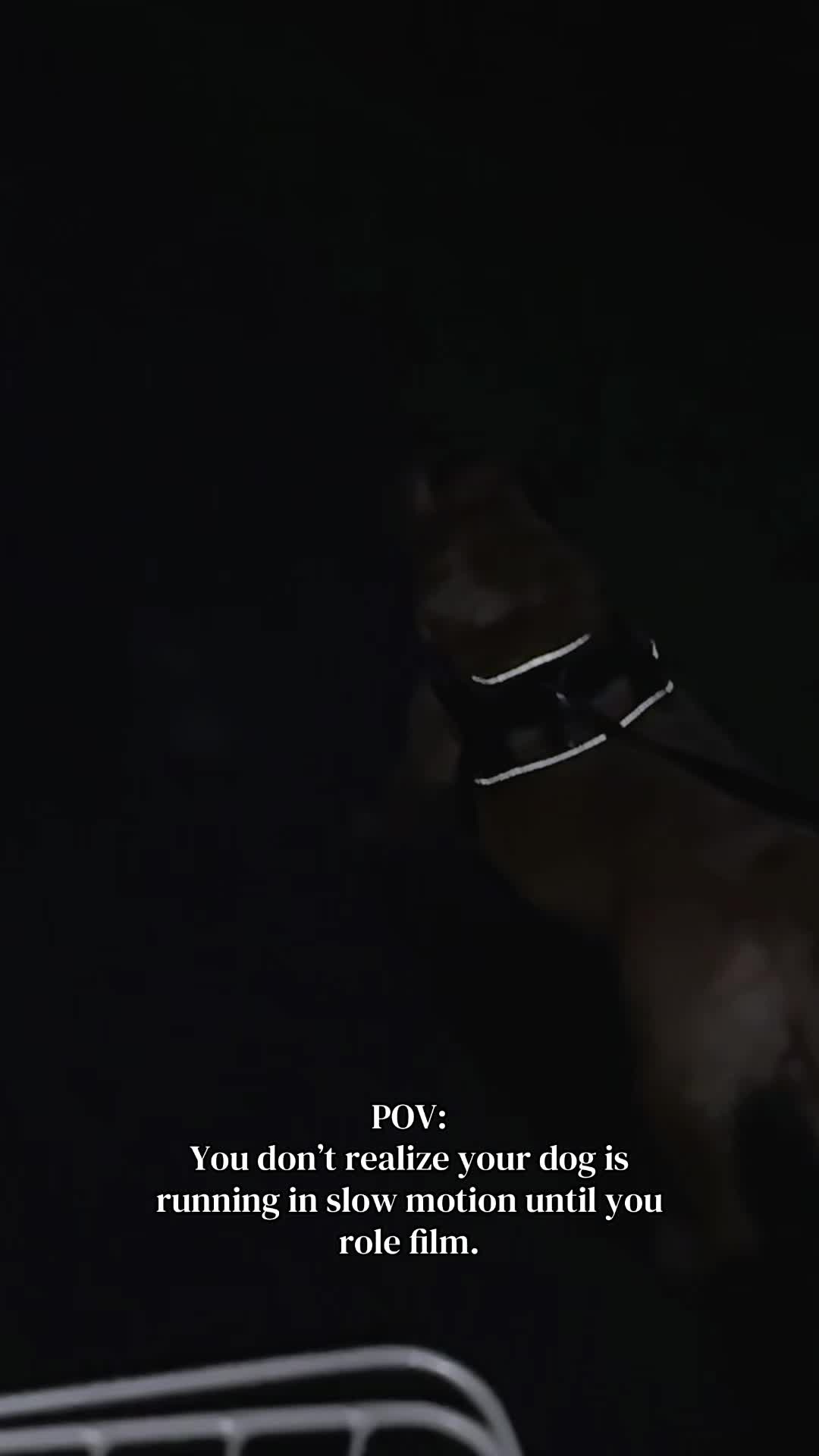 @Danigurl🦮🏇🌅🏳️&zwj;🌈