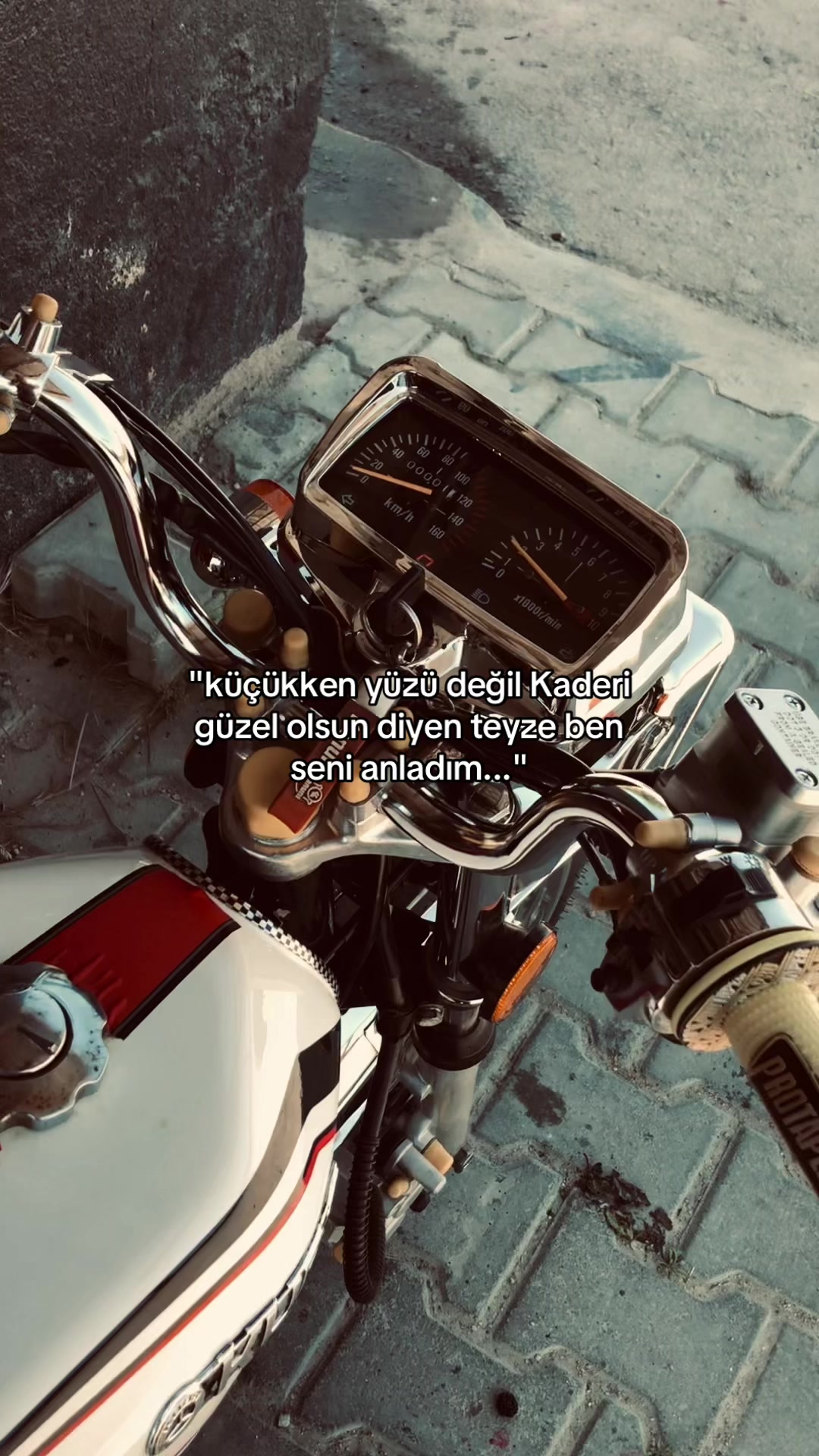 @ᴍᴇʜᴍᴇᴛ ᴀʟɪ ᴋᴏç 