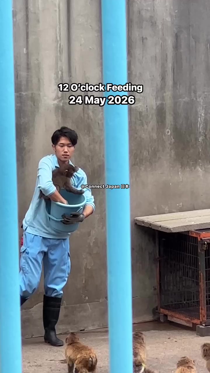 @ceeceeaey