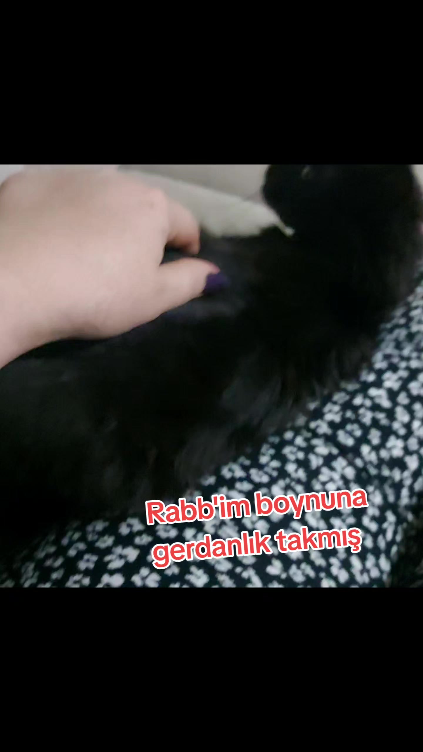 @GoncaBıçakUlaştısoy