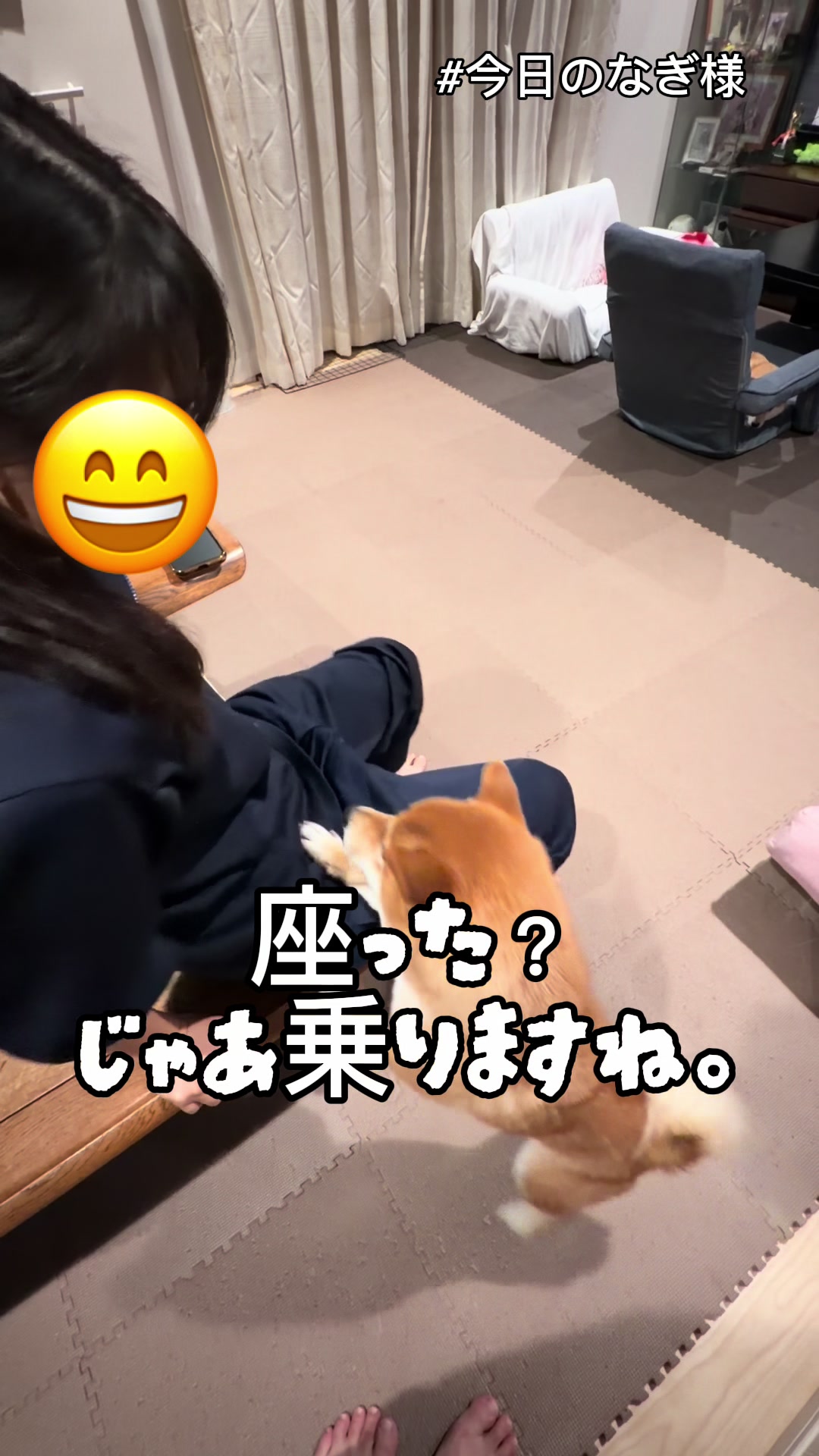 @こまめとしばーず🐾