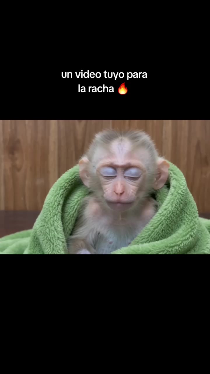 @RabPesito 🔥