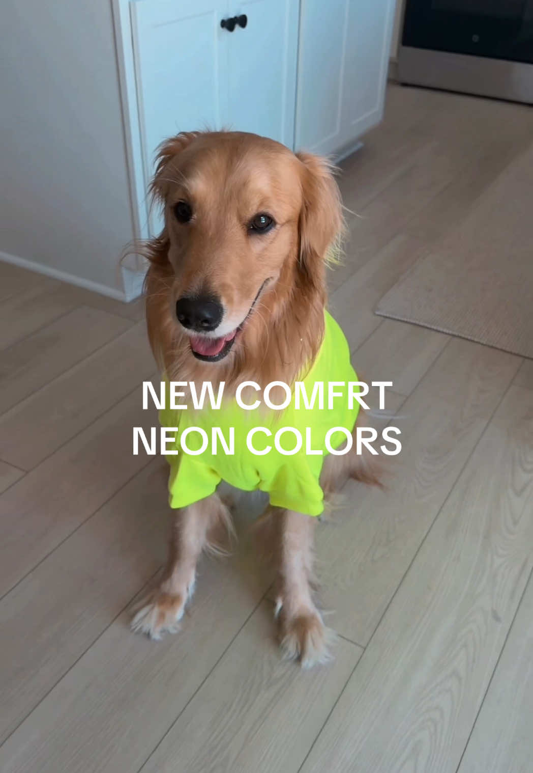 @novathegoldenn